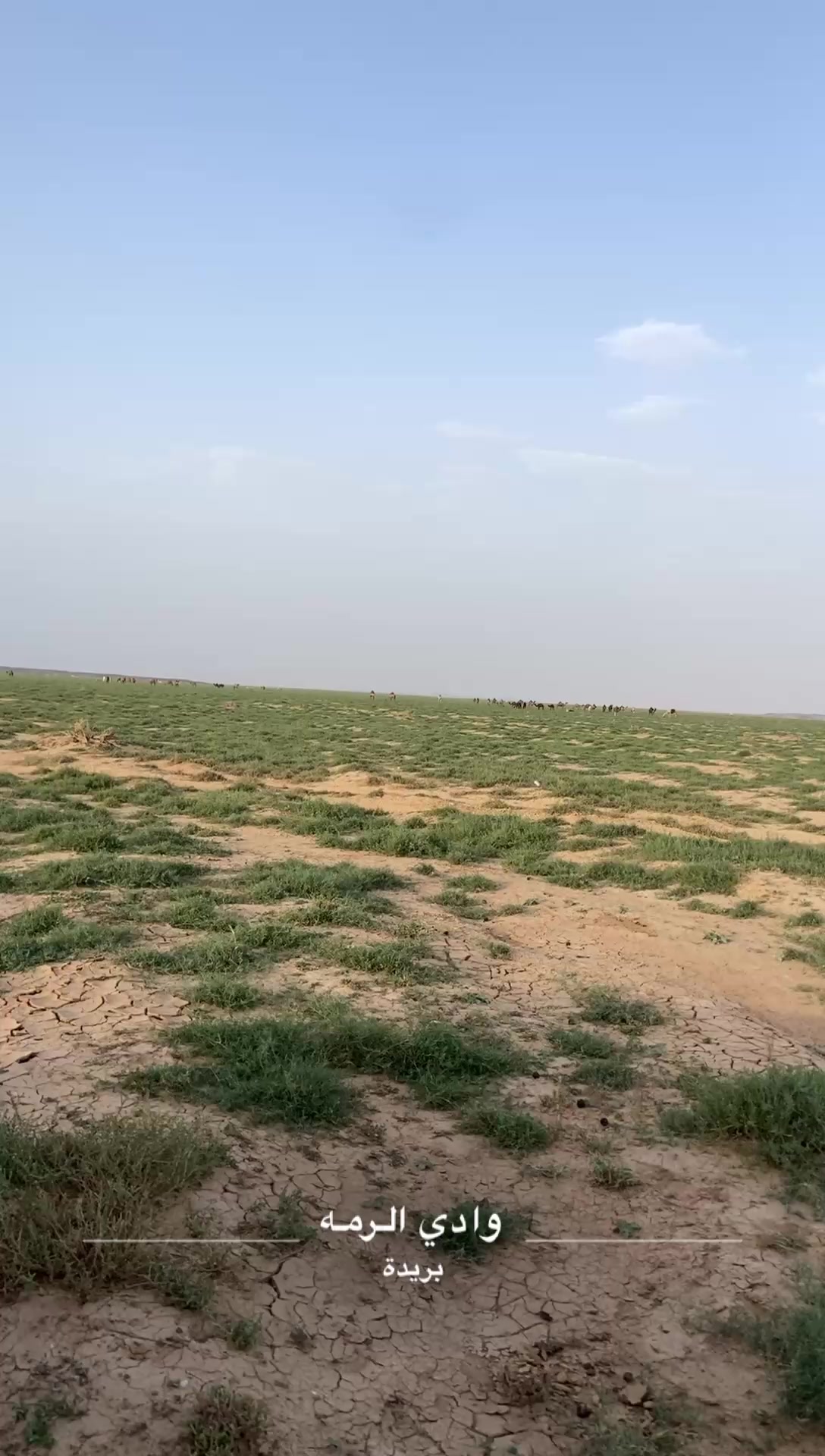 @مجهول