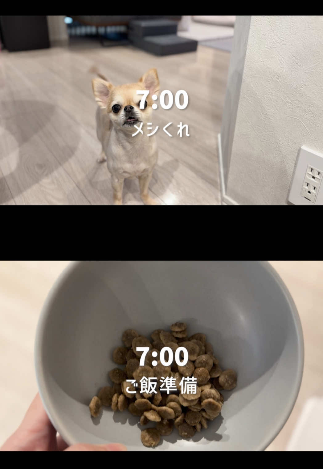 @きなこおぜん