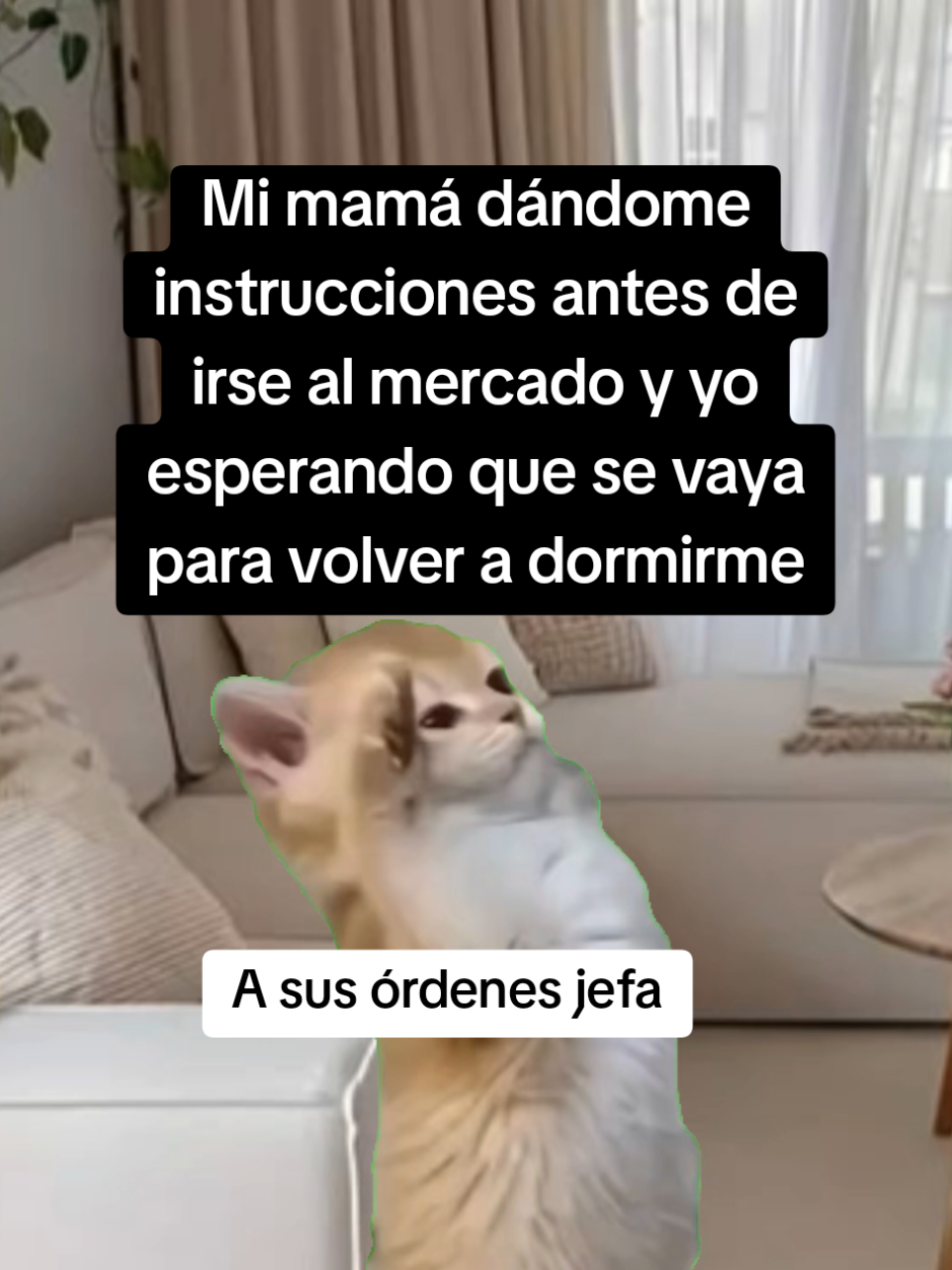 @𝐌𝐚𝐫𝐲