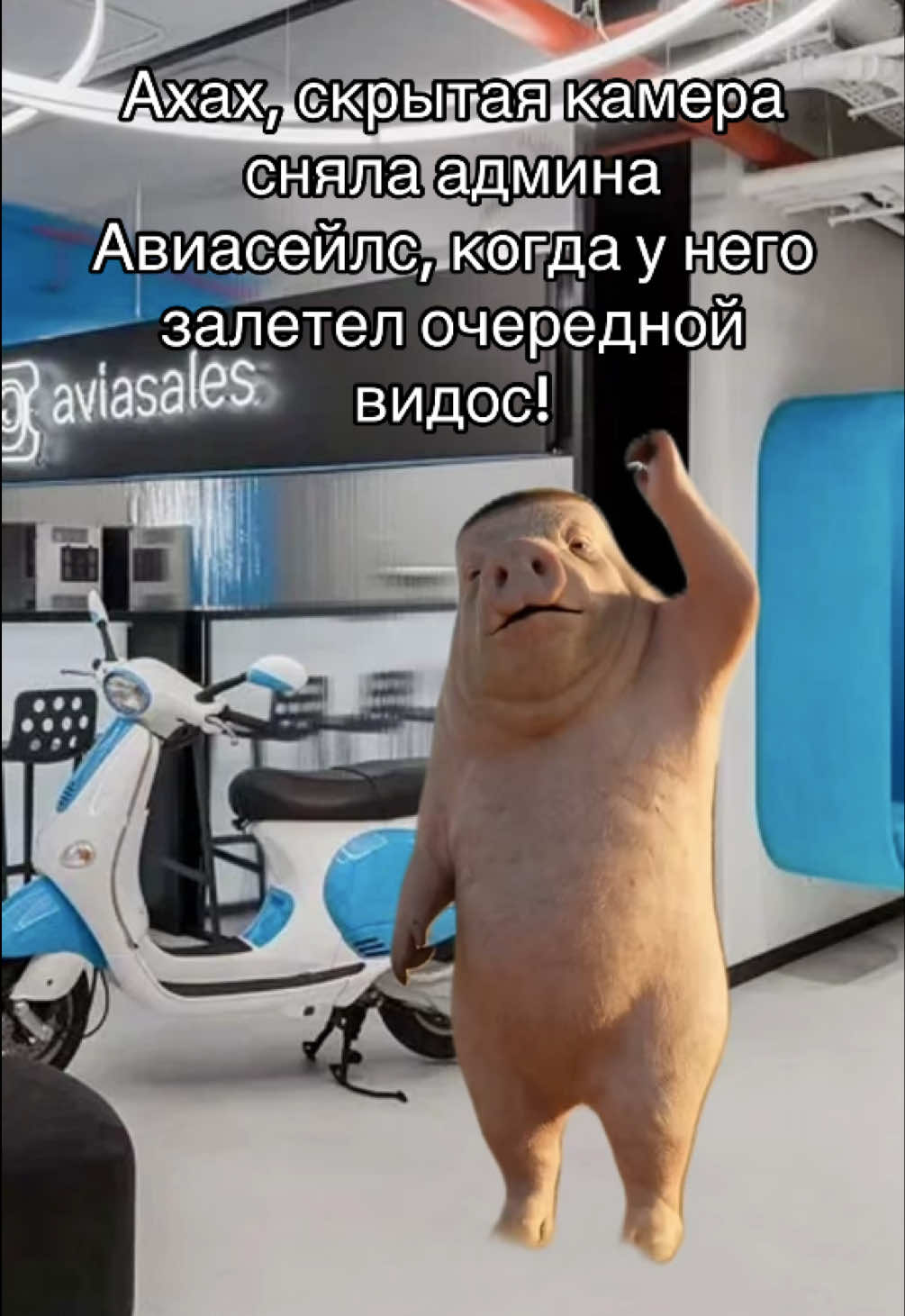 @Aviasales Беларусь