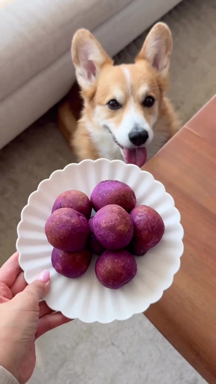 @KIRBY | travel + food blogger