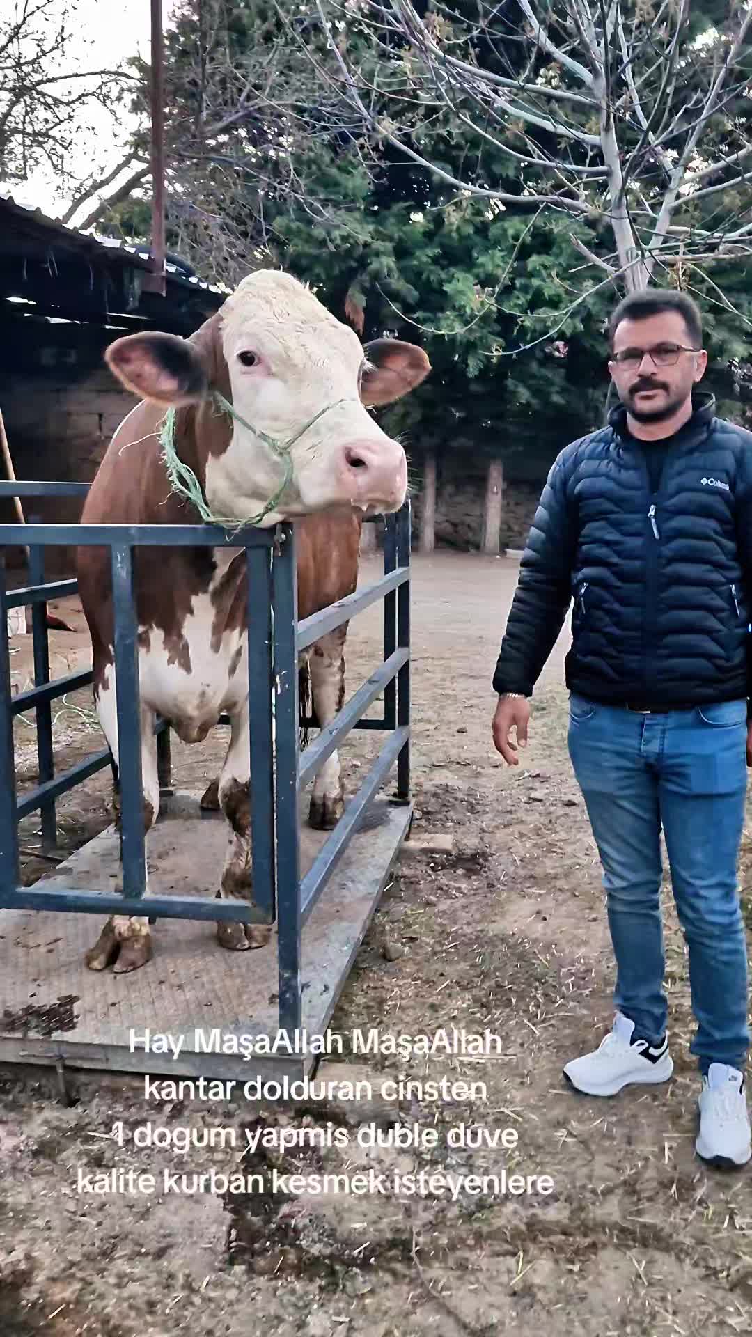 @Mikail Gülsoy