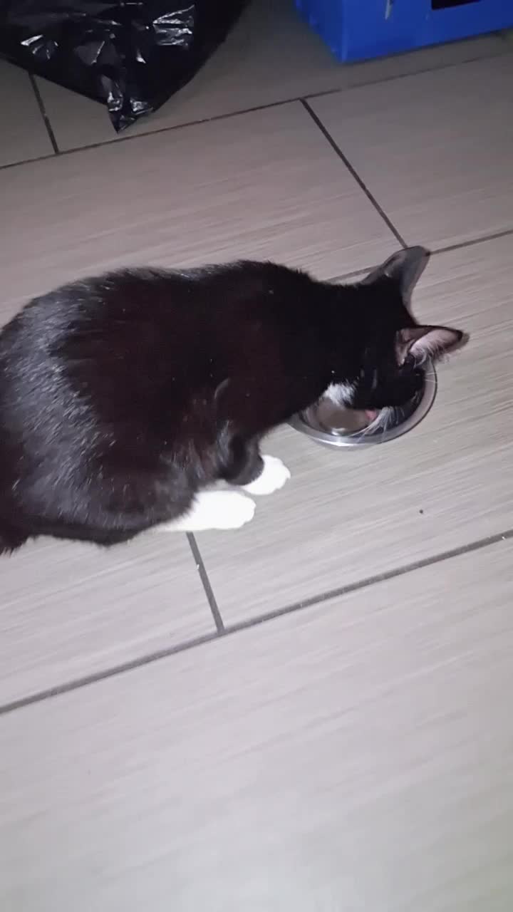 @kiki