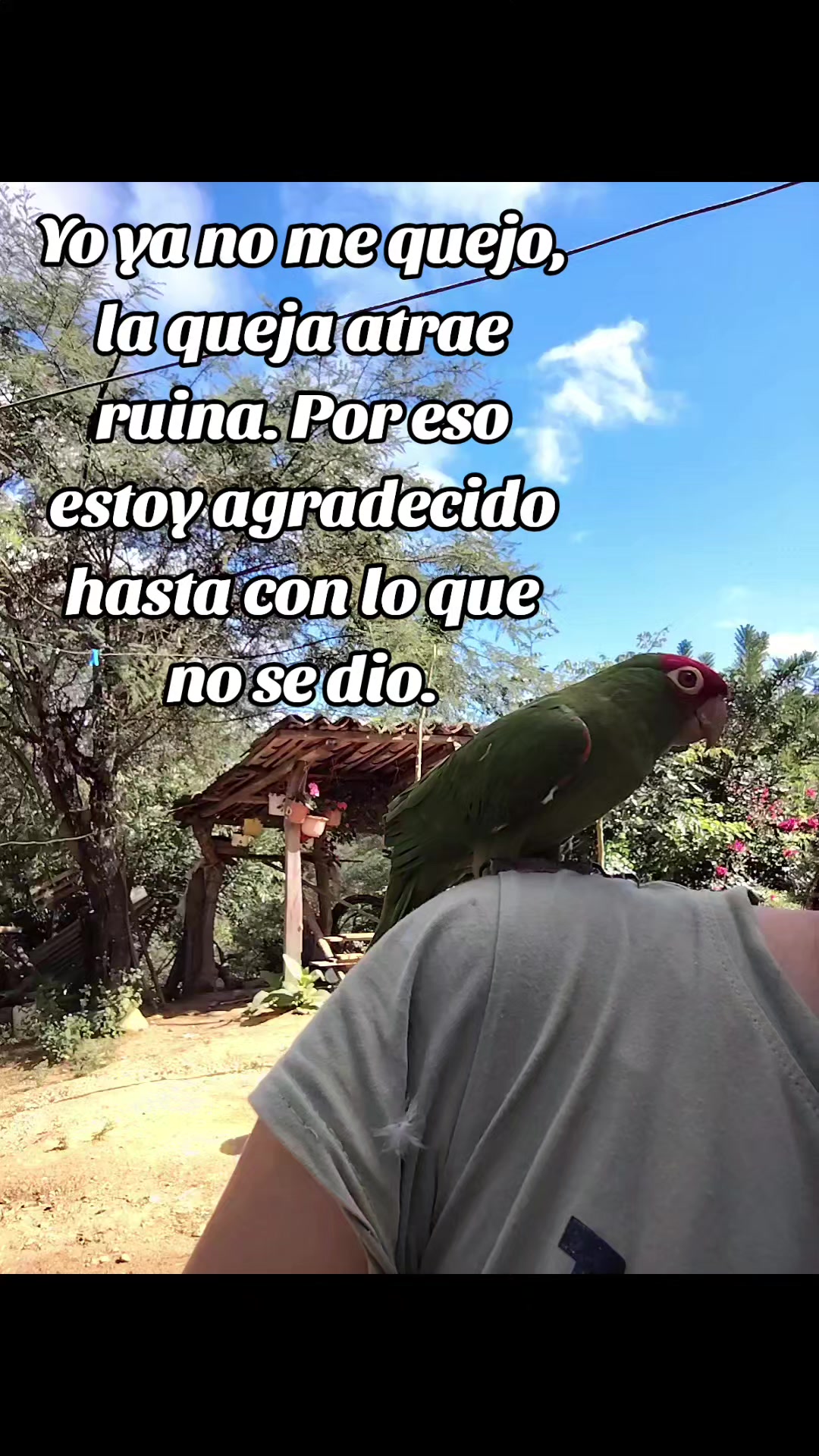 @Yuly Maldonado🍀♥️