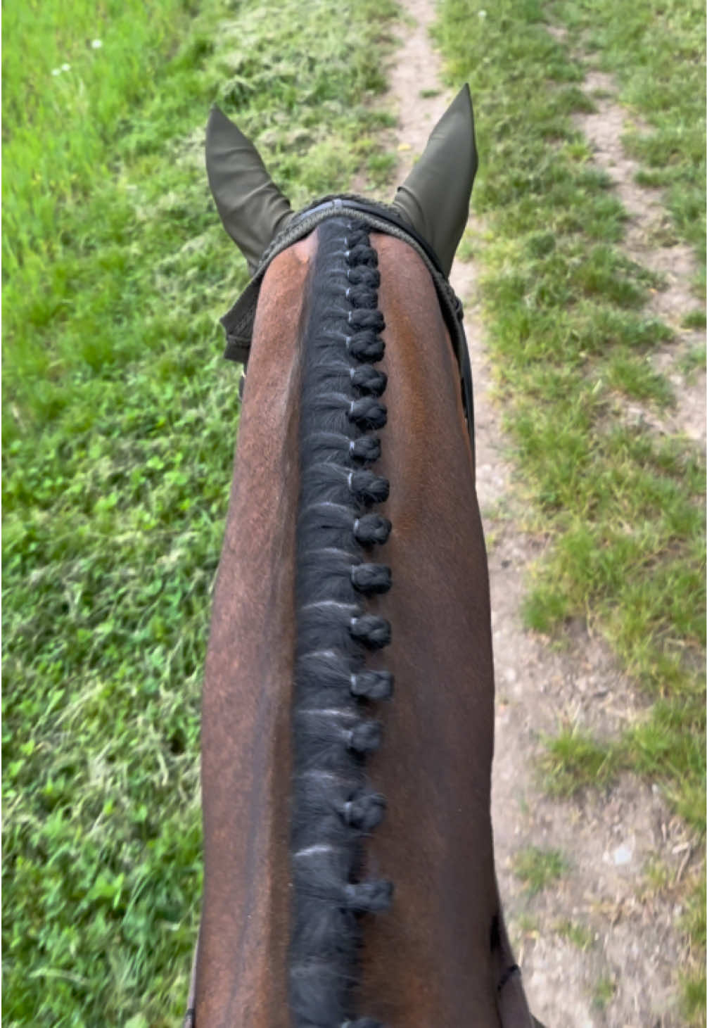 @La.Dolce.Horses