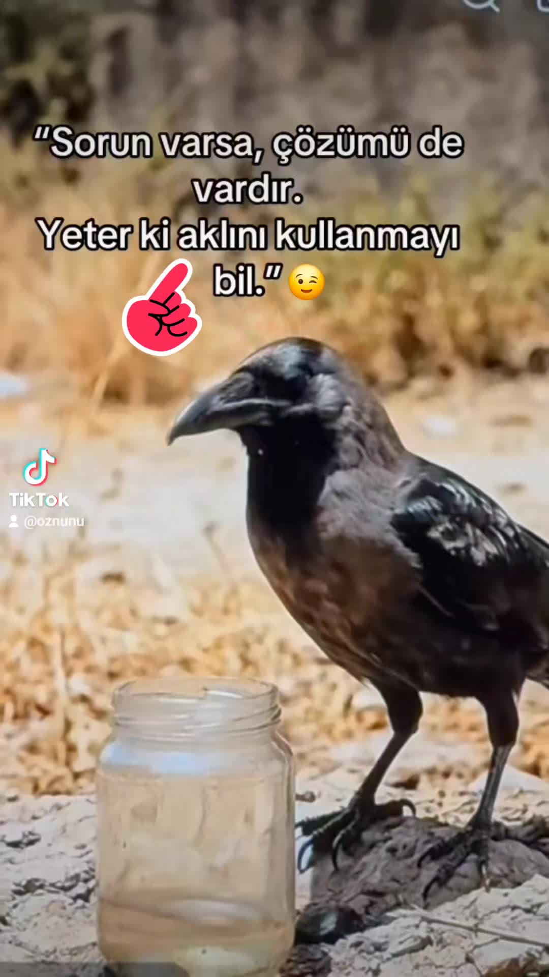 @⚔️ALEVİKIZI24💞İKİ G&Ouml;Z&Uuml;M❤️✌️