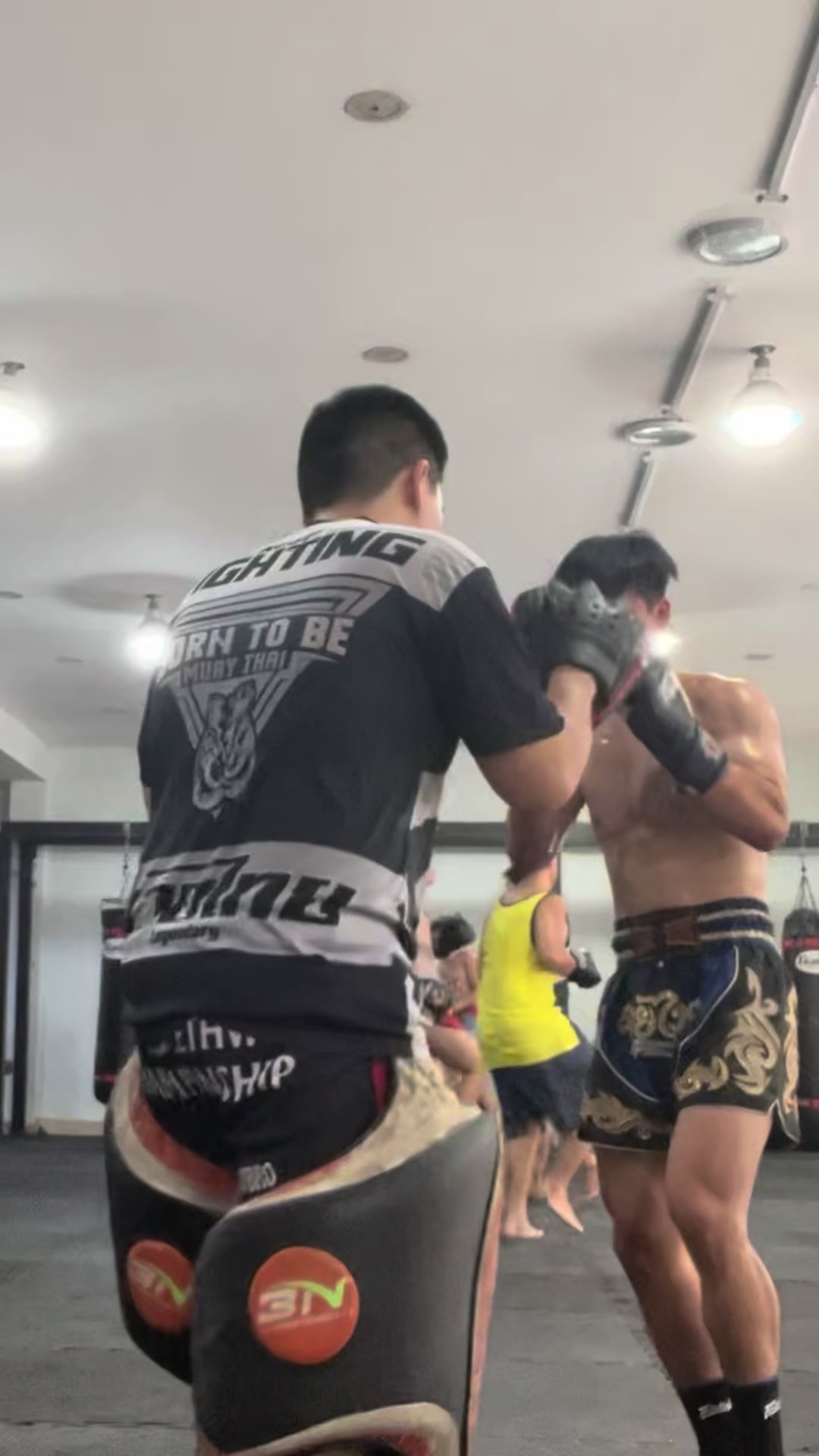 @ryujikaito3
