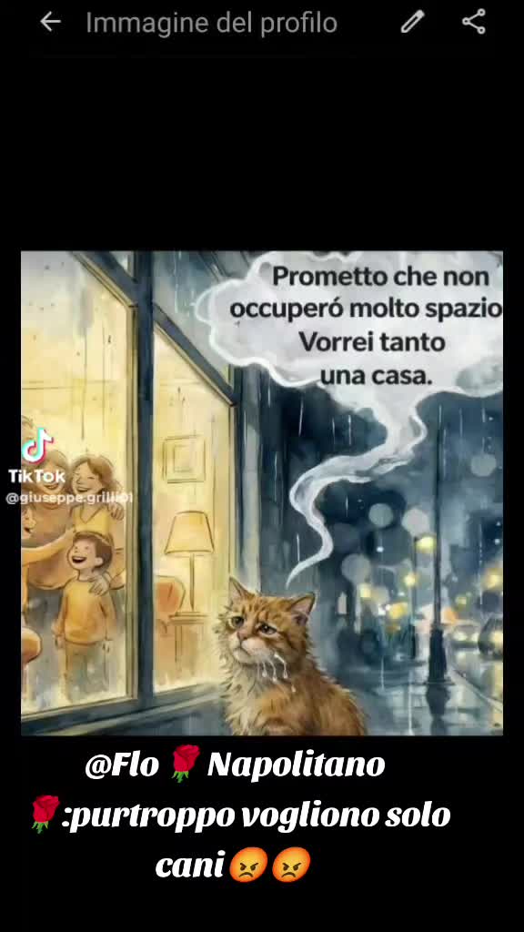 @Flo🌹 Napolitano 🌹