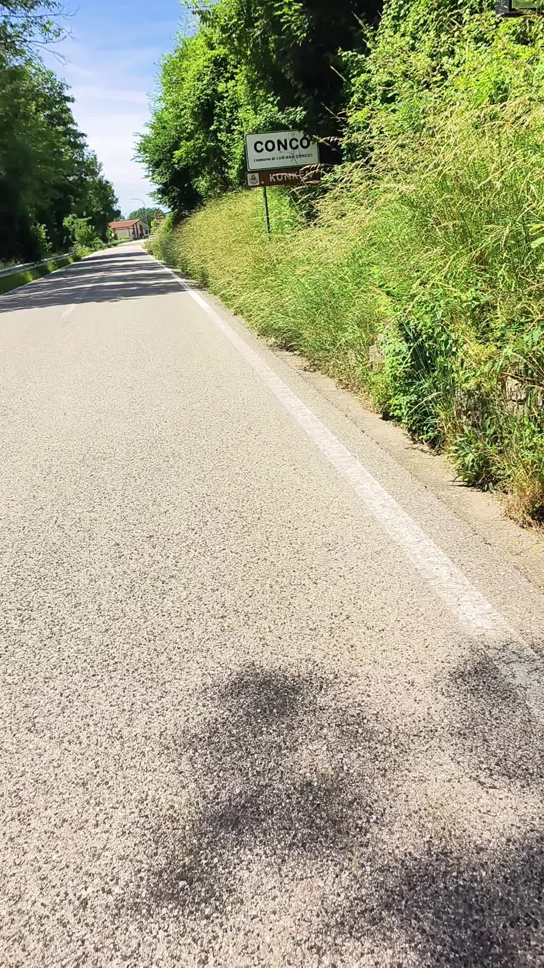 @biondina74