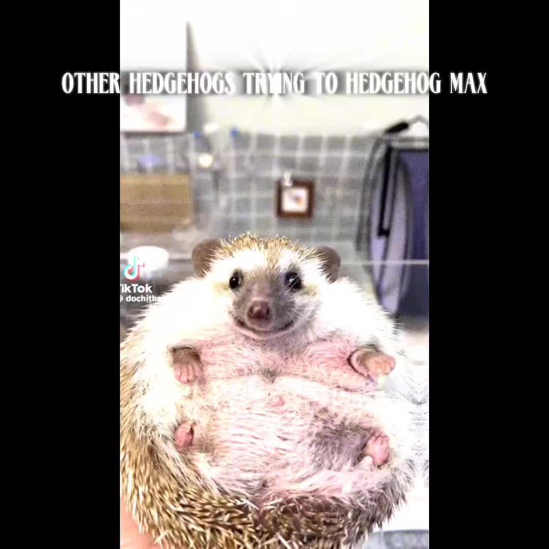@connieboy