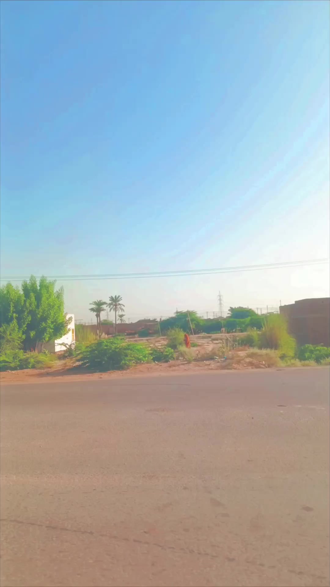 @Nawab Zadi🥰