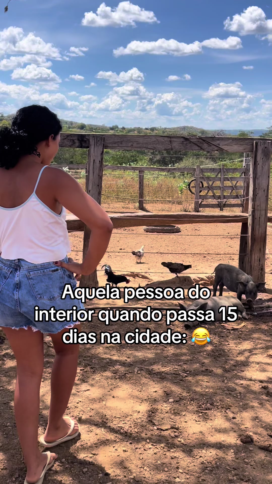 @monicadejatoba