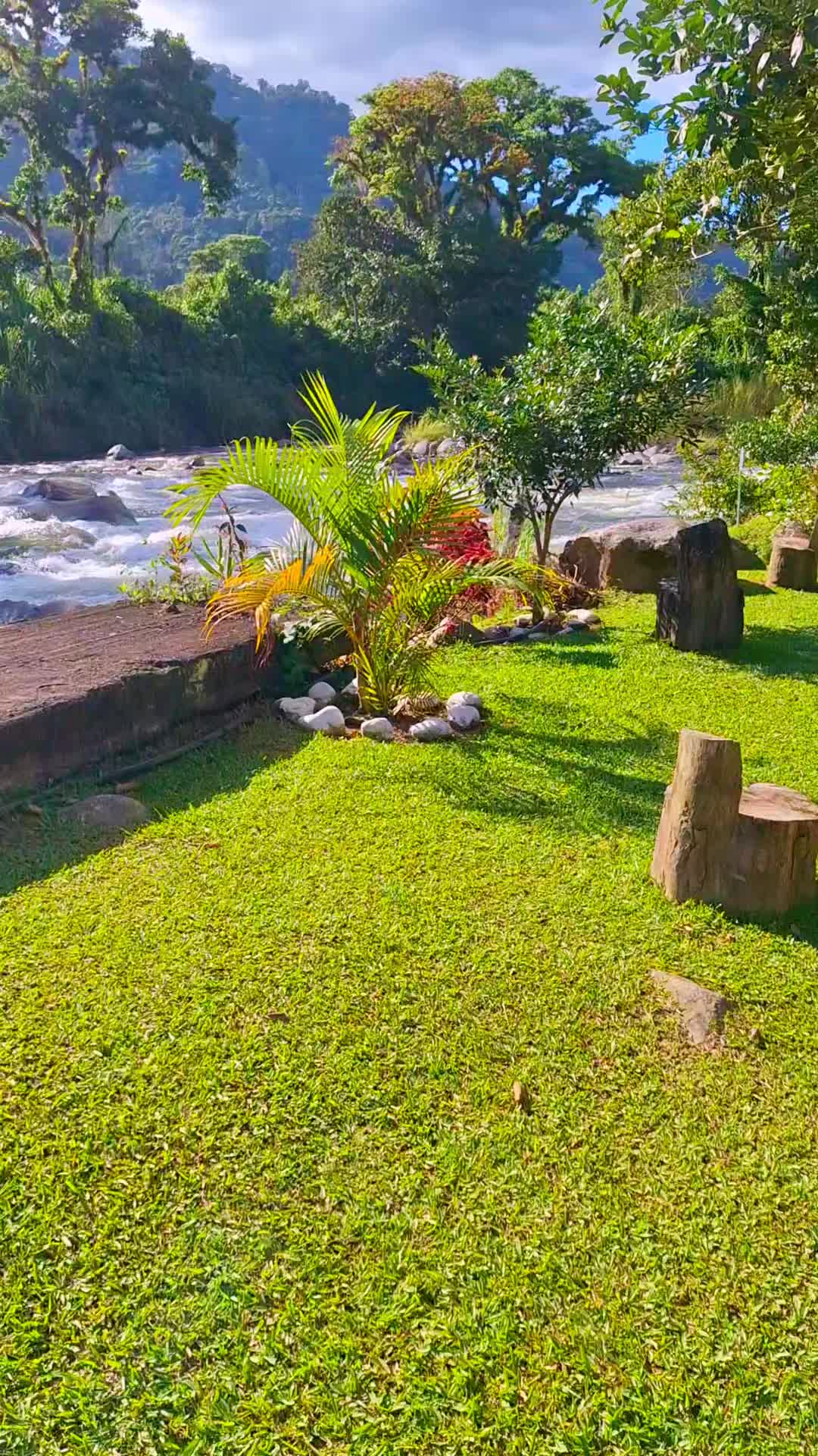 @San Arias 🦋