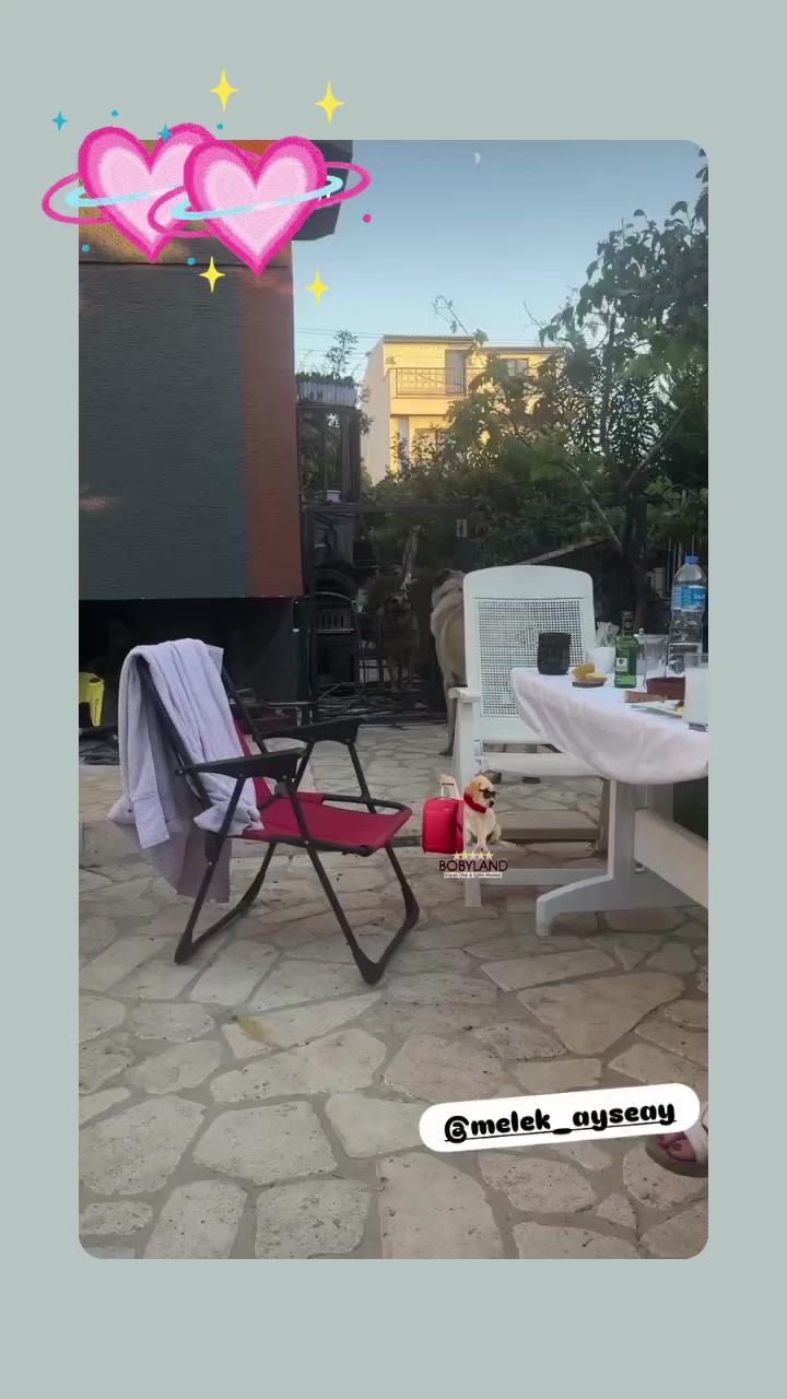 @Melek