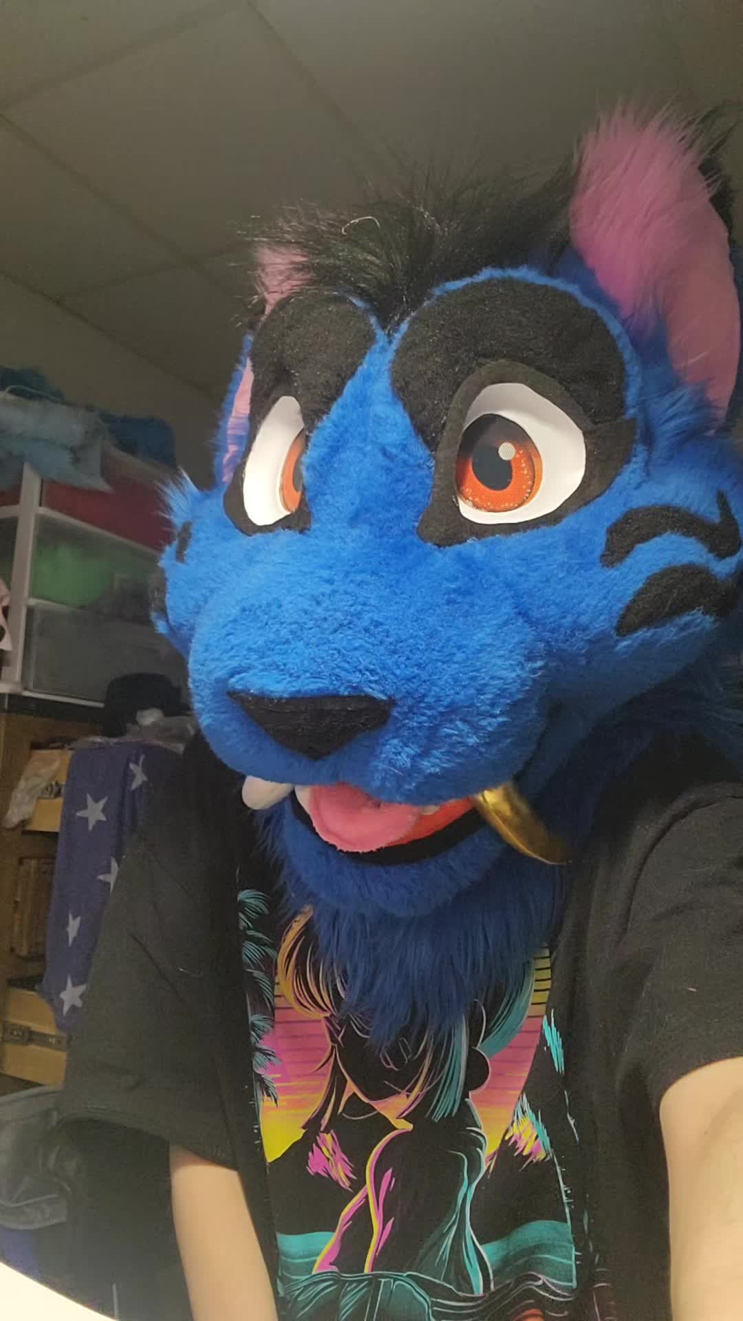 @Mx Queen Alpha🔜Furpocalypse?