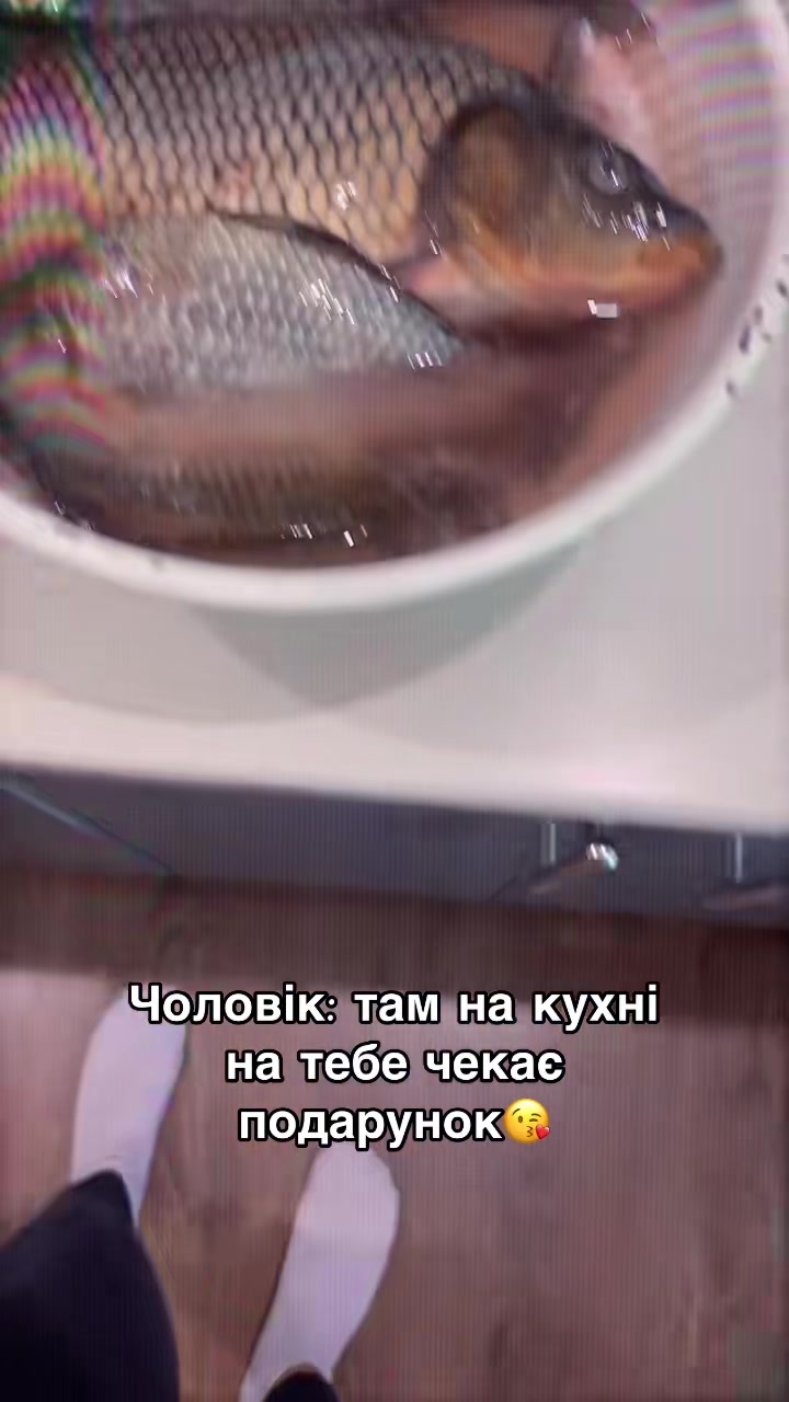 @🇺🇦Сімʼя Зубів🇺🇦