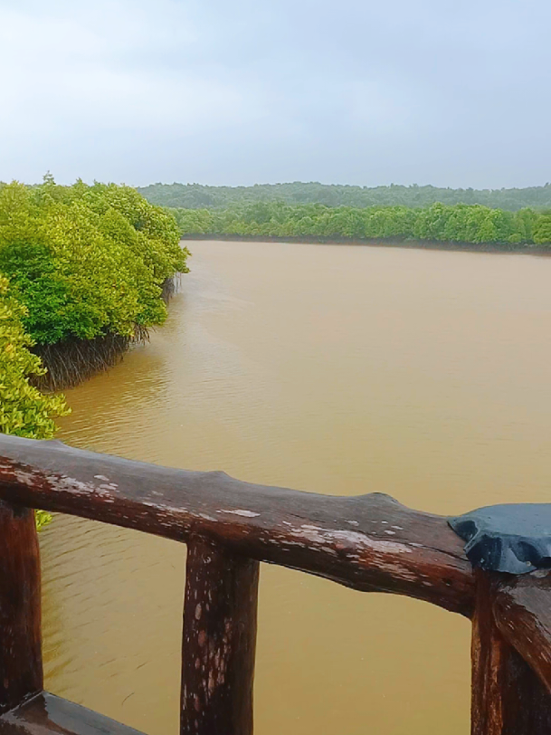@Tiny Howe (zarni ko)