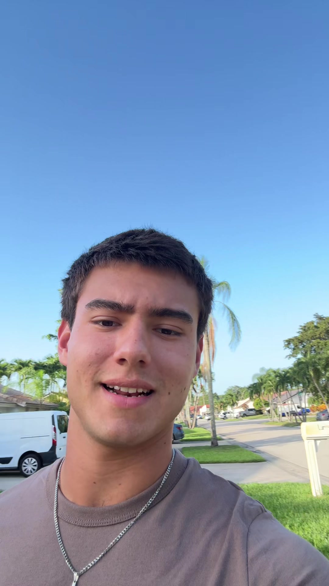@mendiolaenusa
