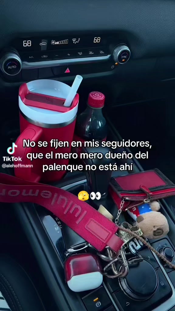 @esteysi 🌼