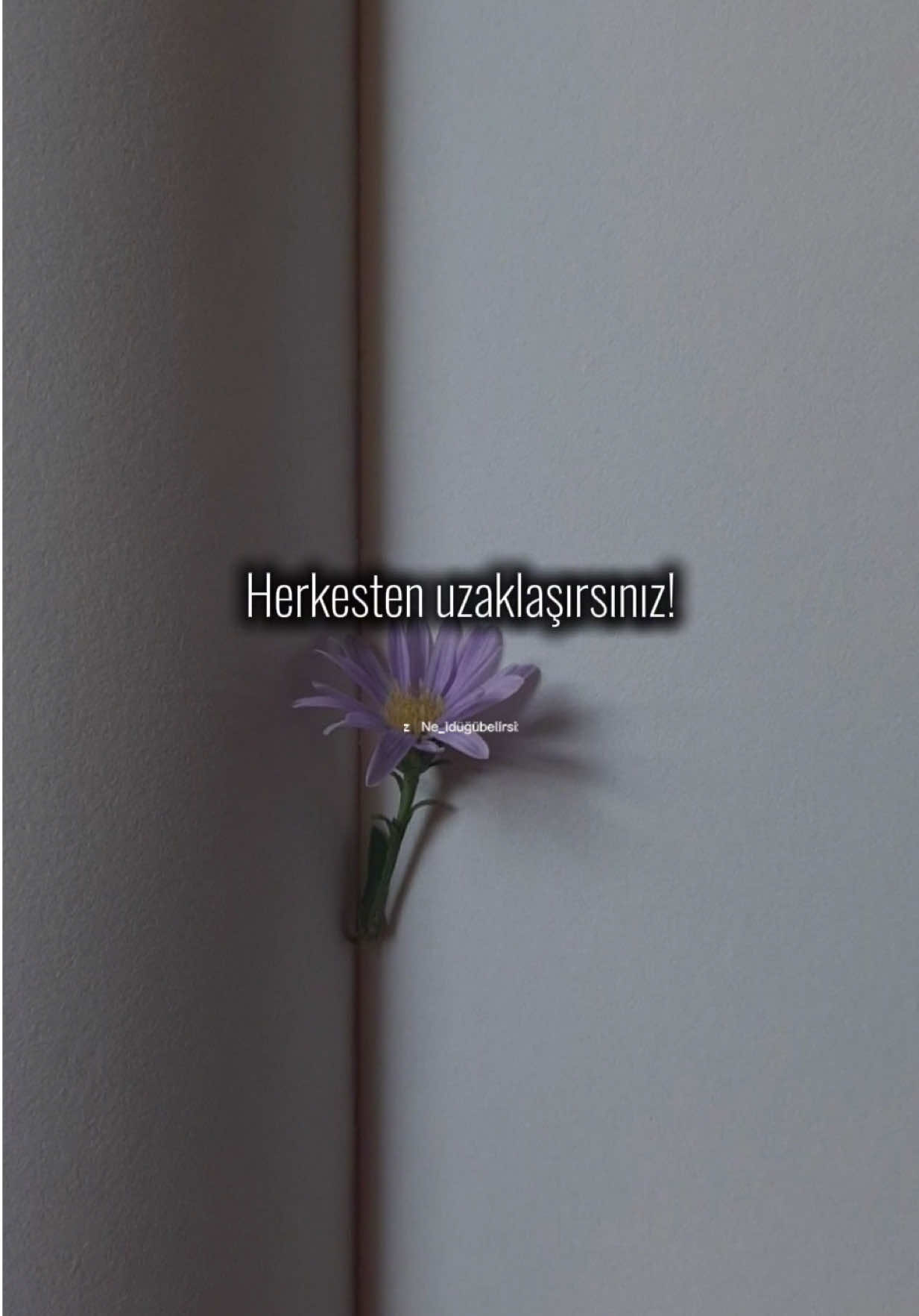 @ne_idugubelirsiz