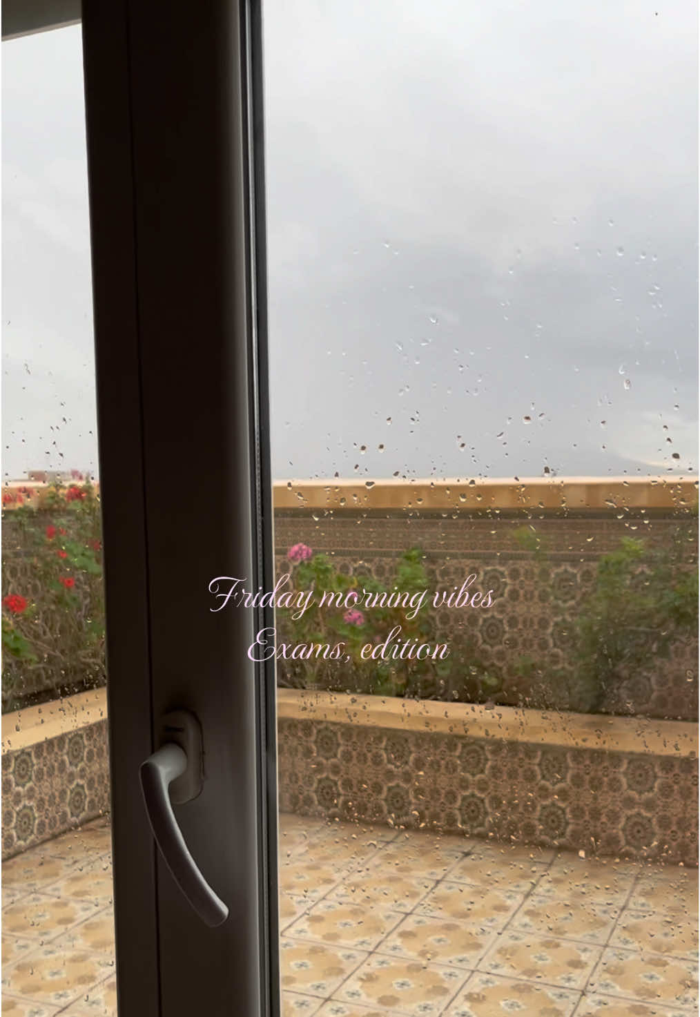 @رَيحـآٰنــةٌ