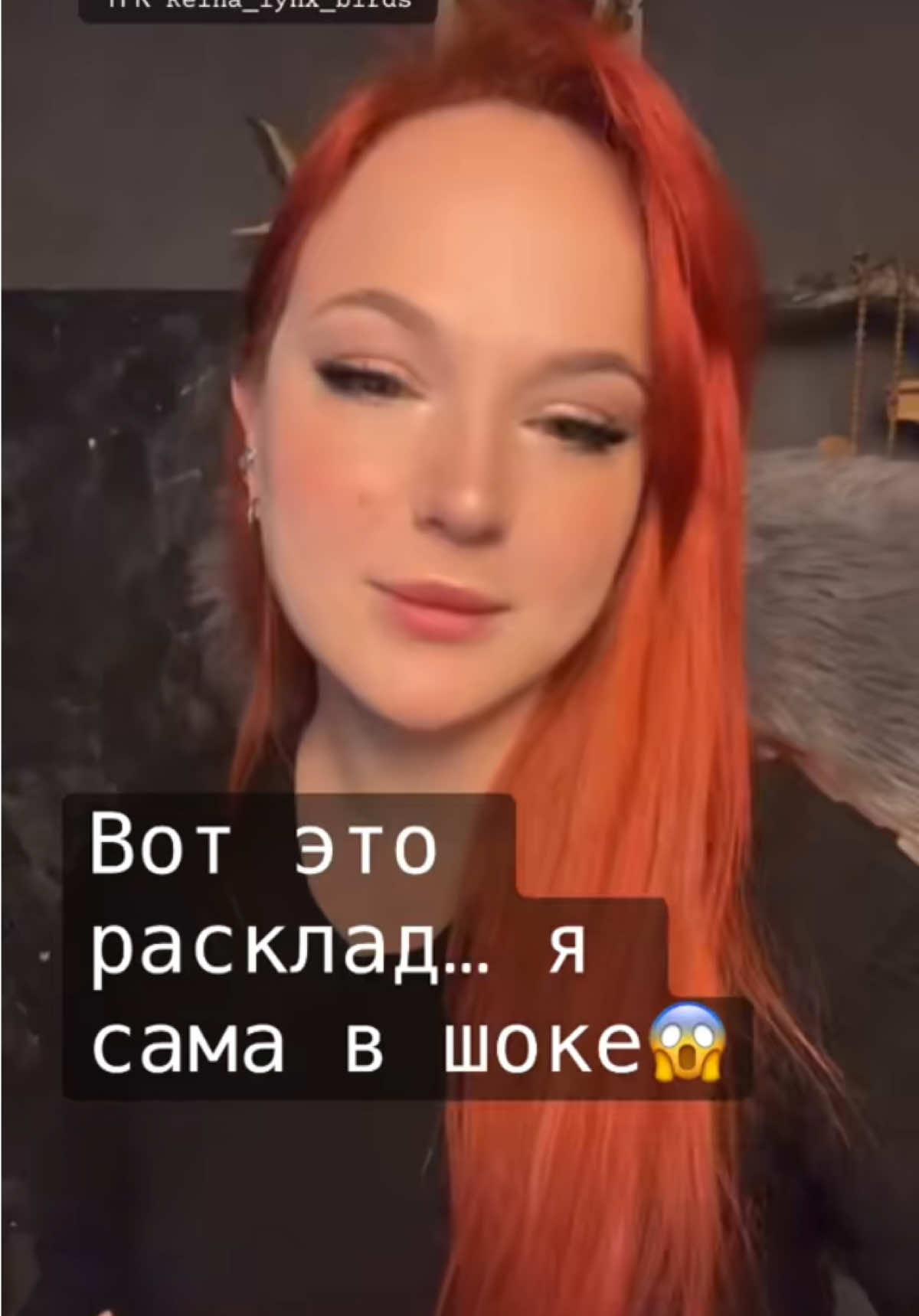 @Reina_lynx