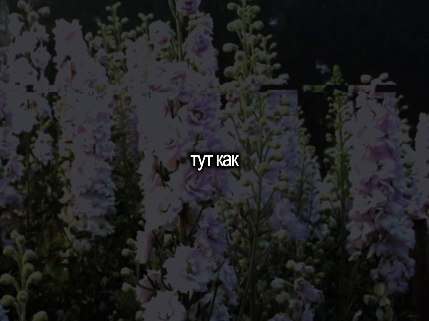 @lyrics 🎧