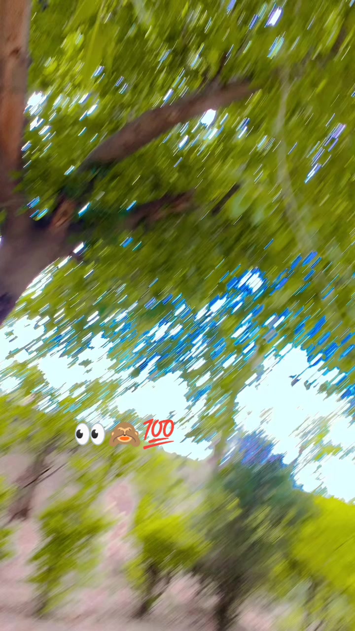 @▄︻デI̷ ̷a̷m̷ ̷s̷o̷h̷a̷i̷l̷══━一