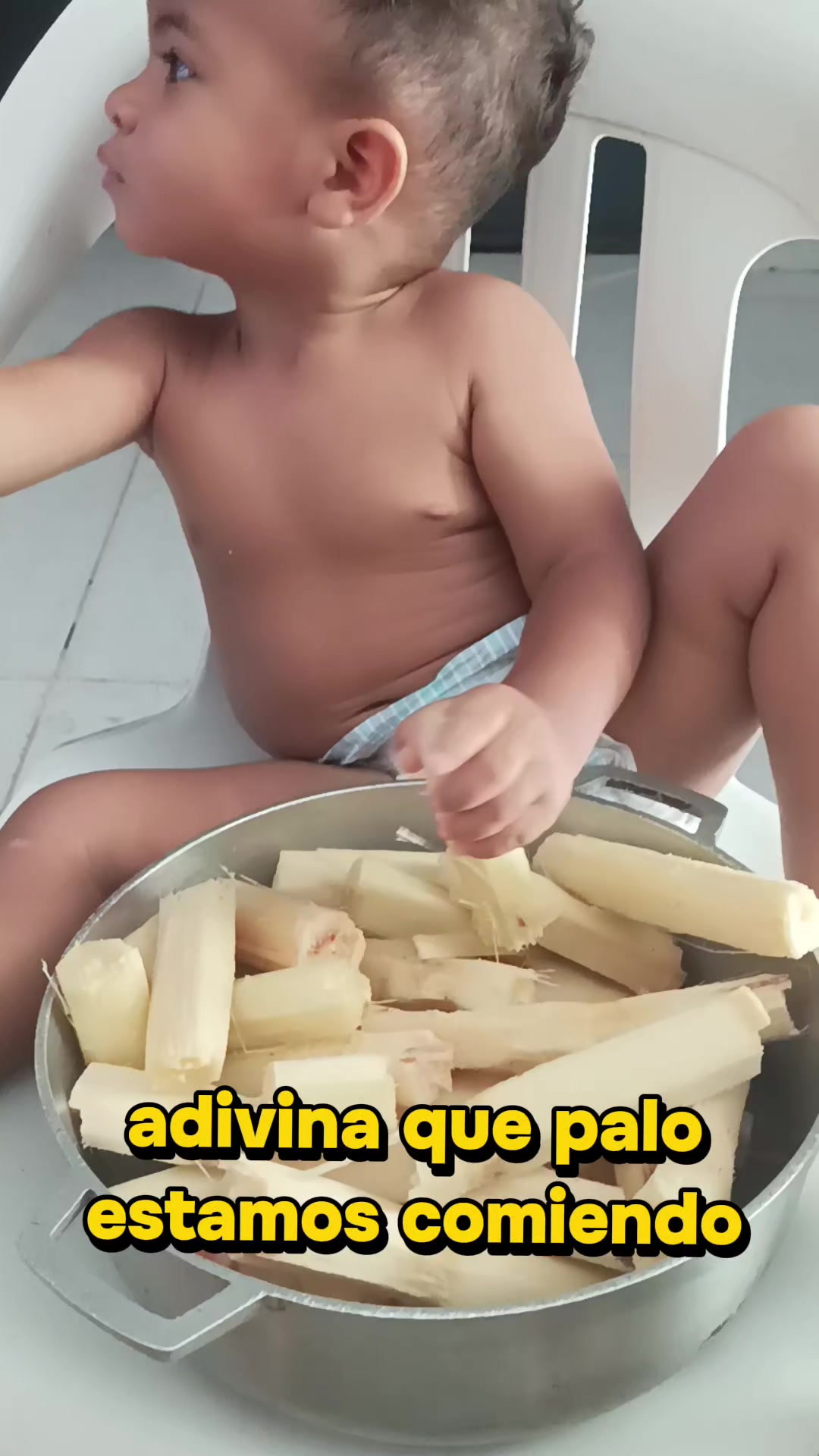 @taclepyd