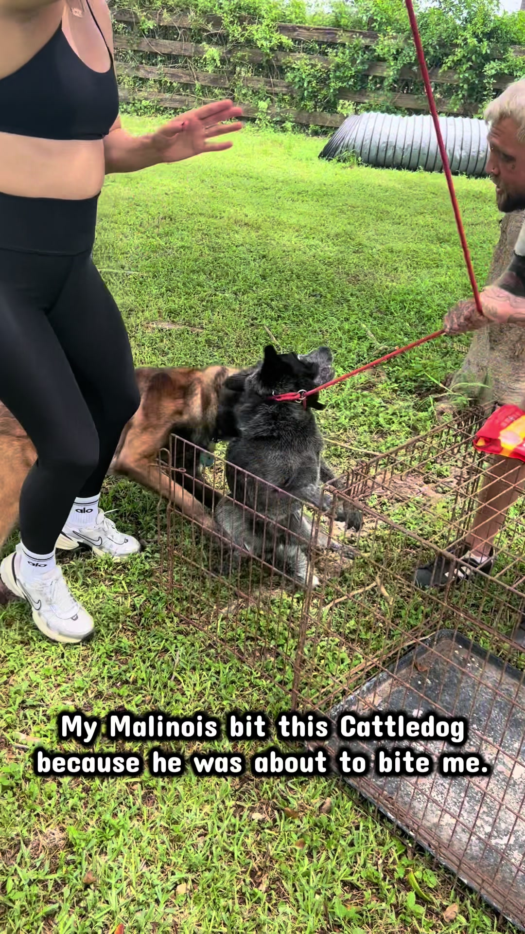@balancedcanineacademy
