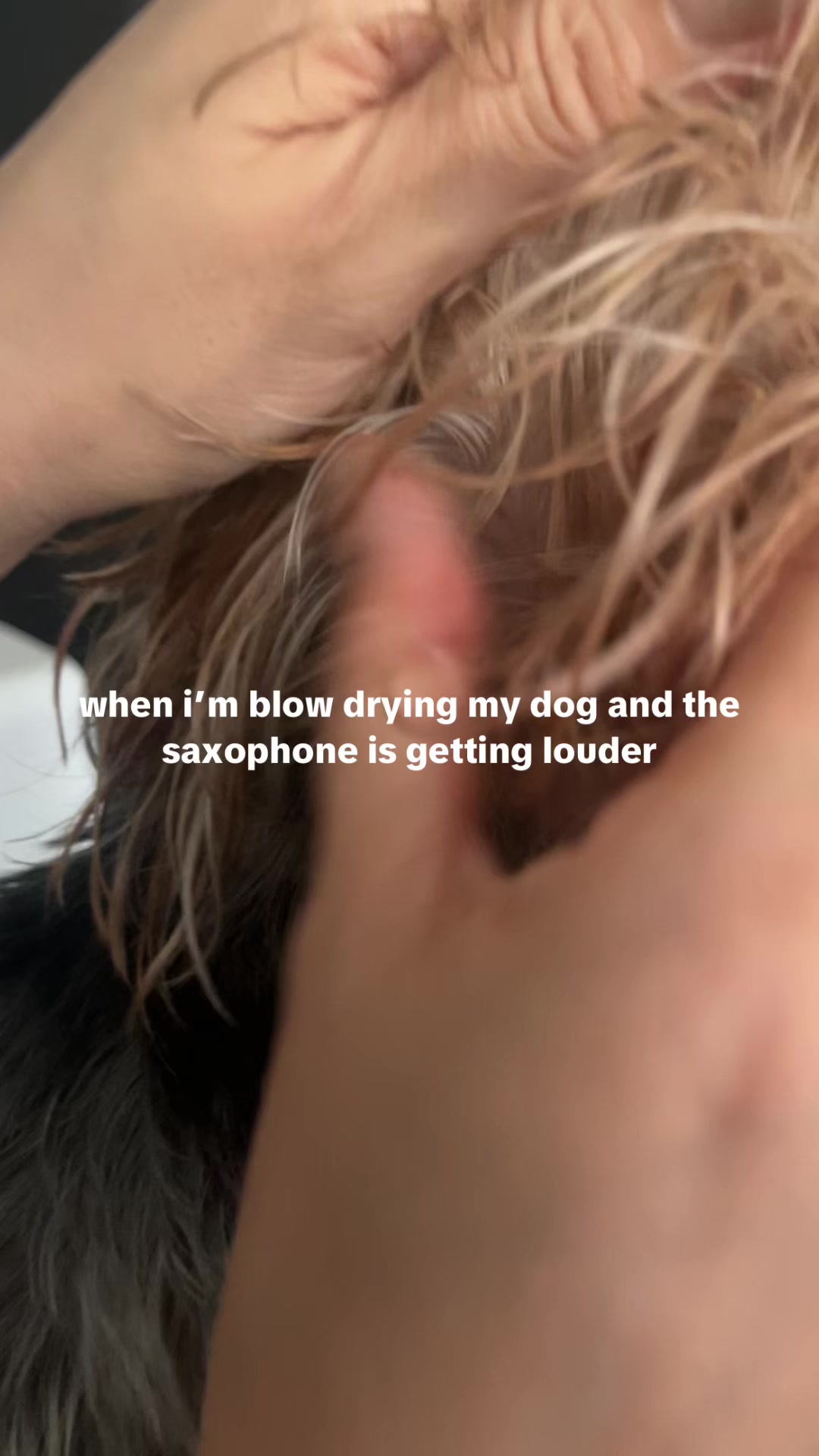 @triscahaa