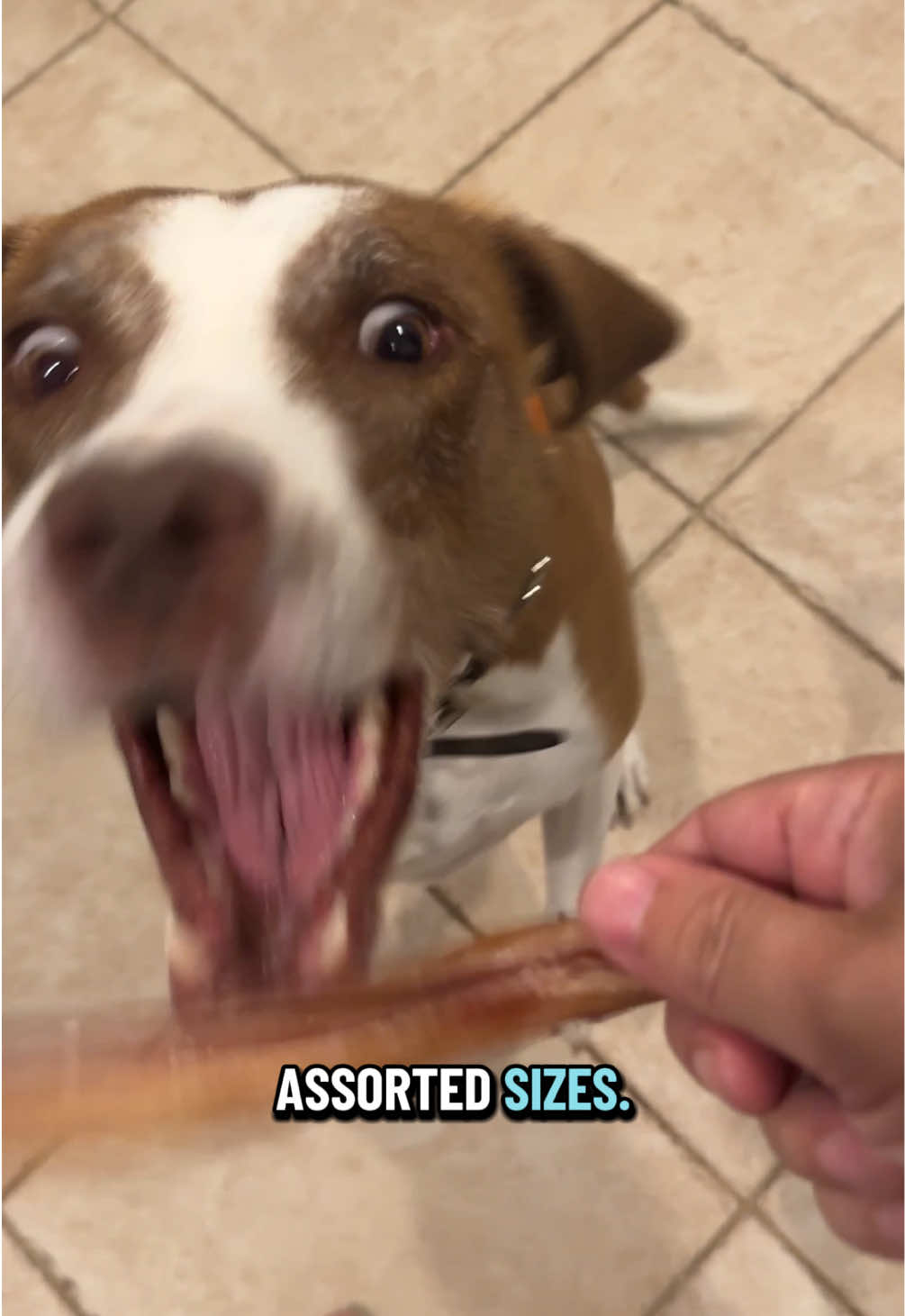 @Jay
