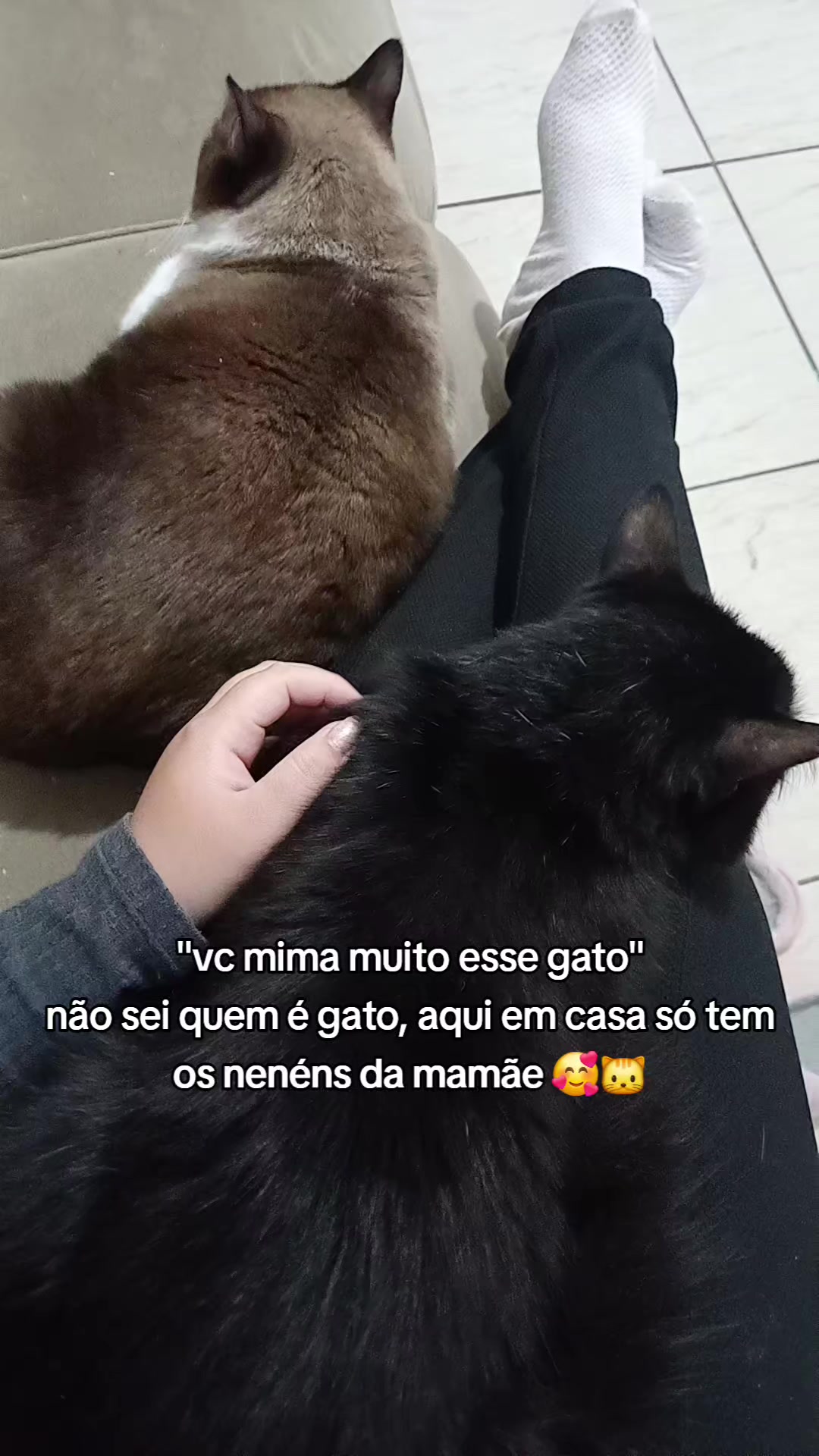 @Gabriela Ribeiro