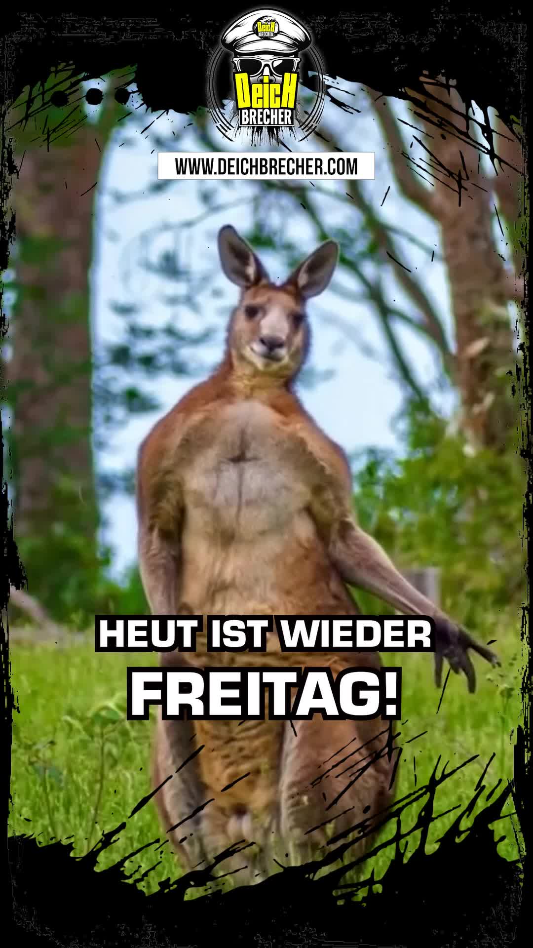 @💣DEICHBRECHER 💣