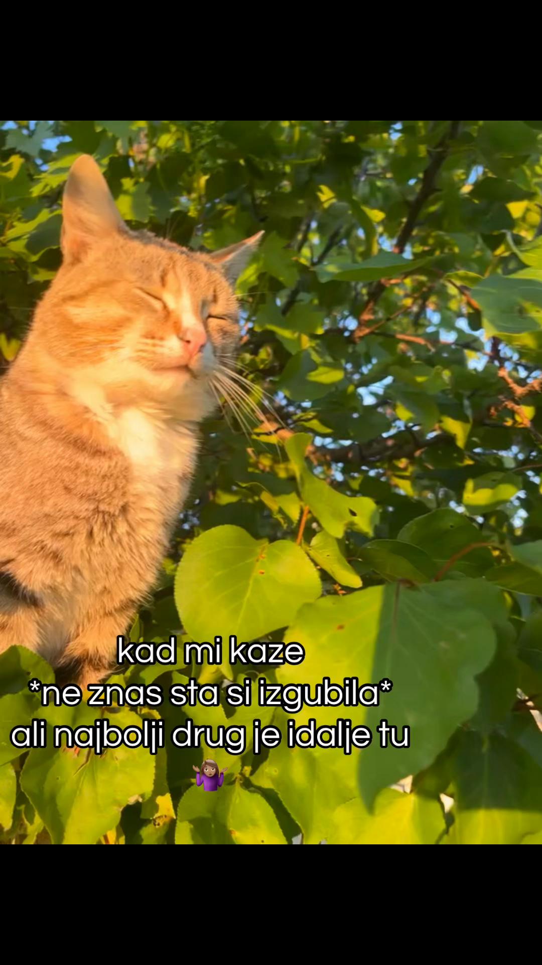 @ 