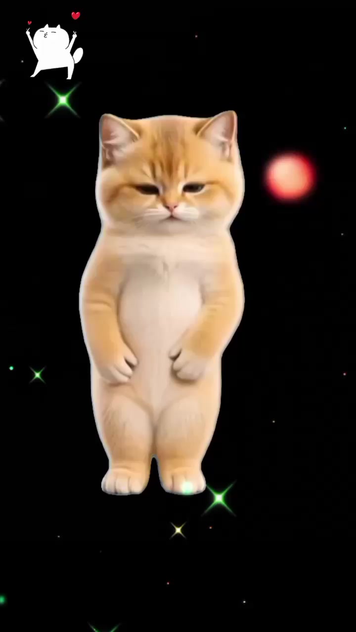 @Ray