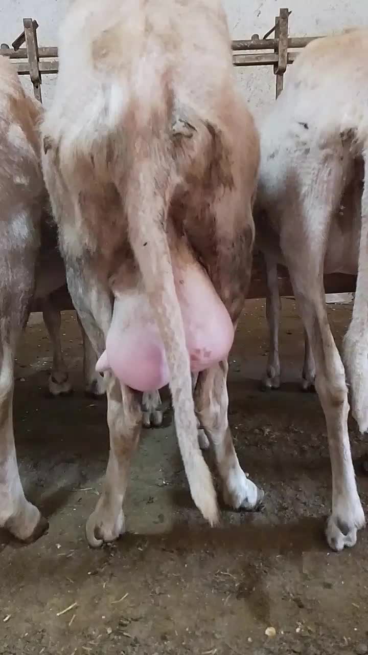 @NAZZARENO❤️