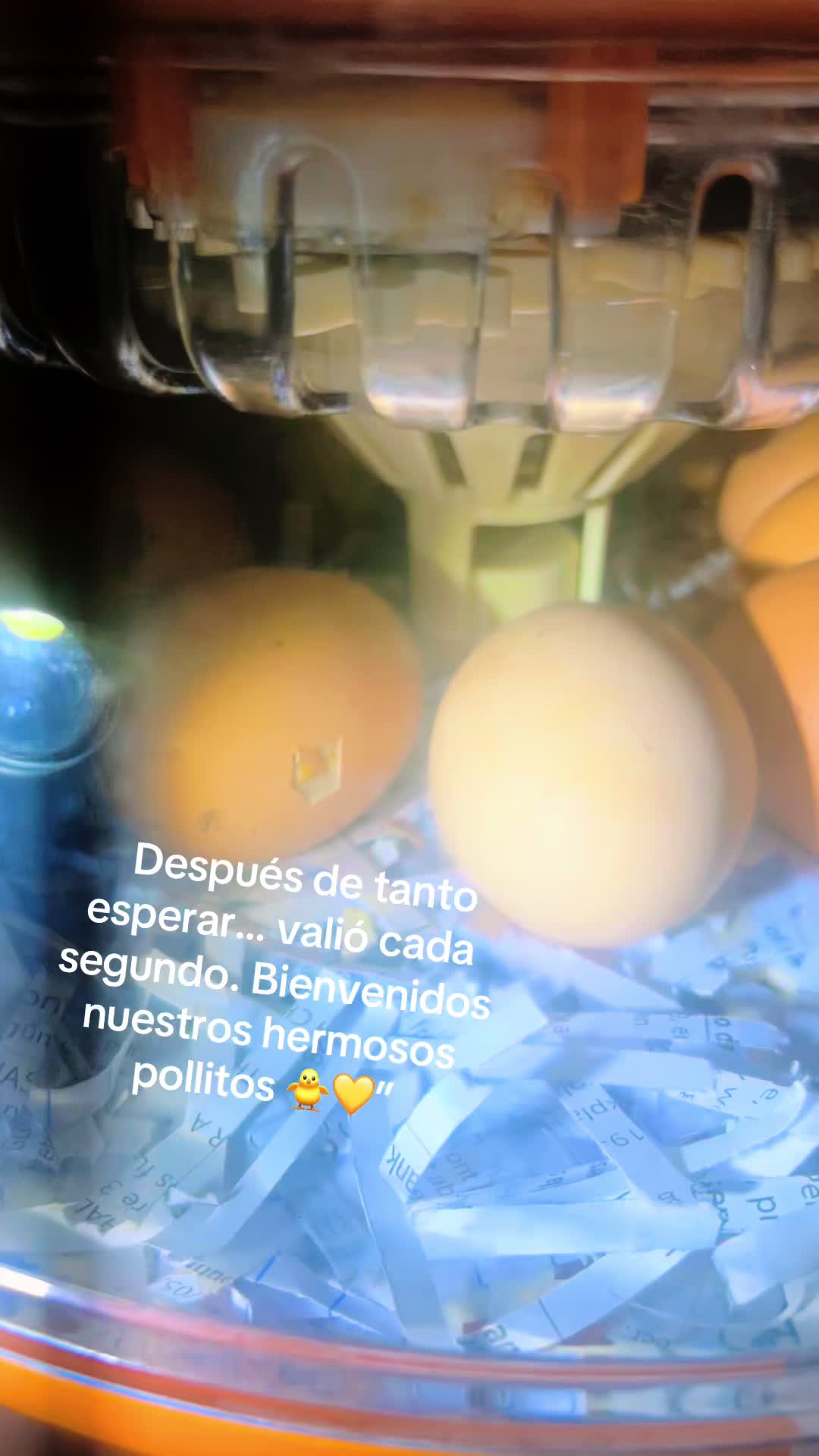 @🍹🌴