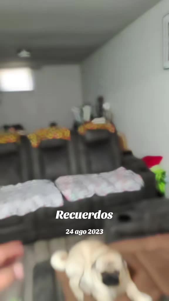 @toche