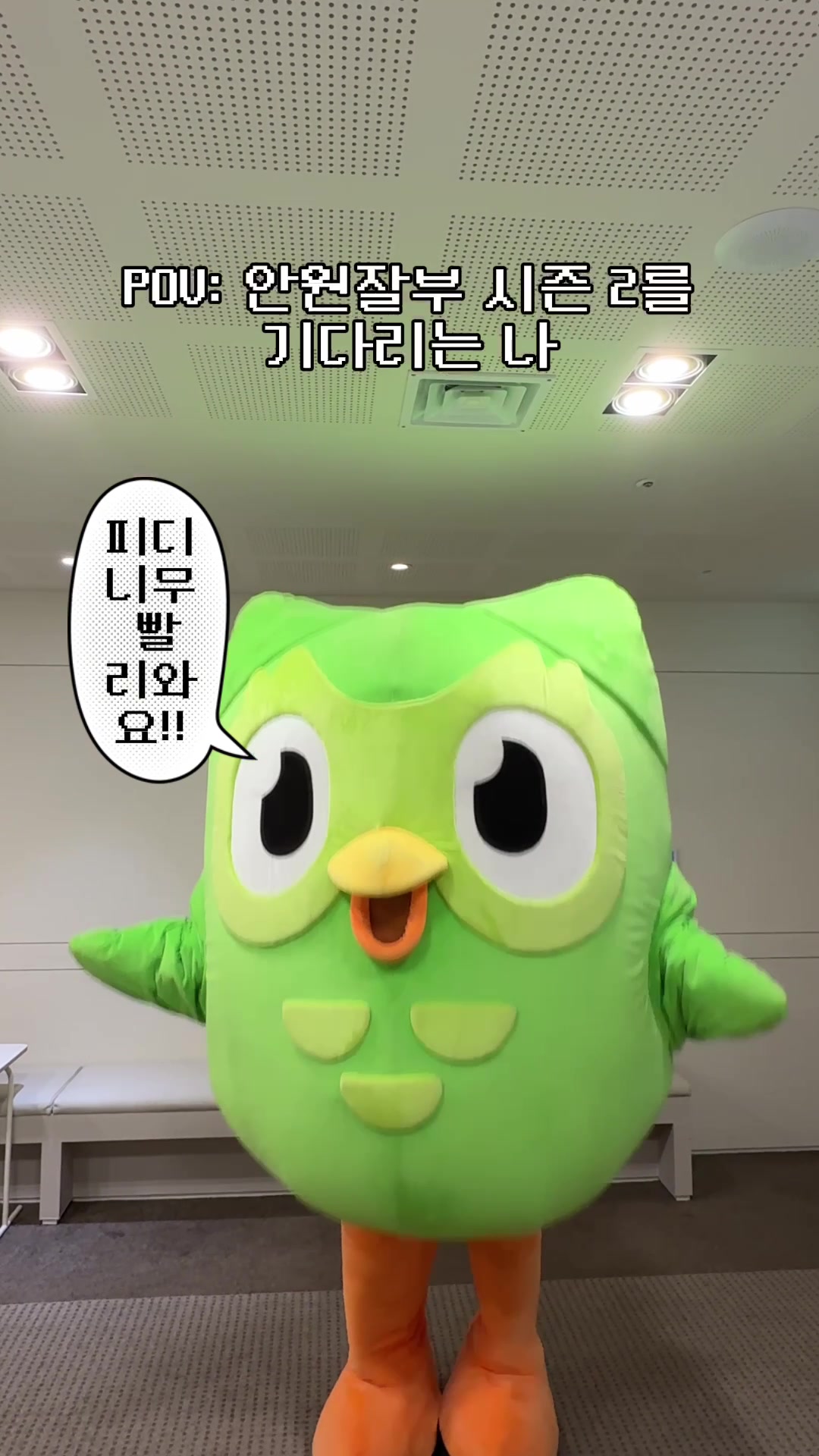 @duolingokorea
