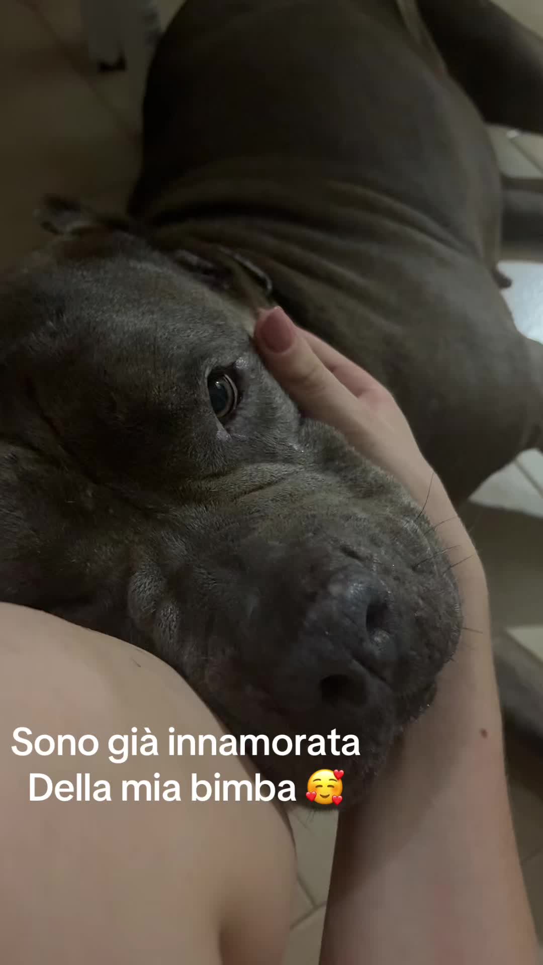 @Vanessa Librando