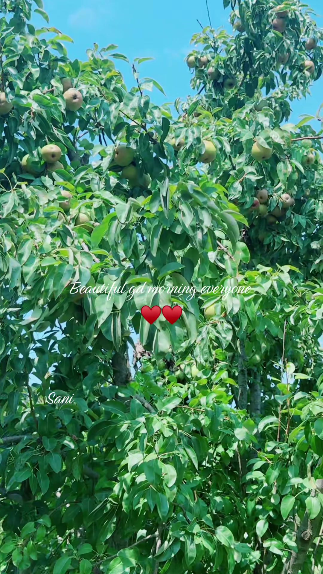 @Crowed 007kashmiri