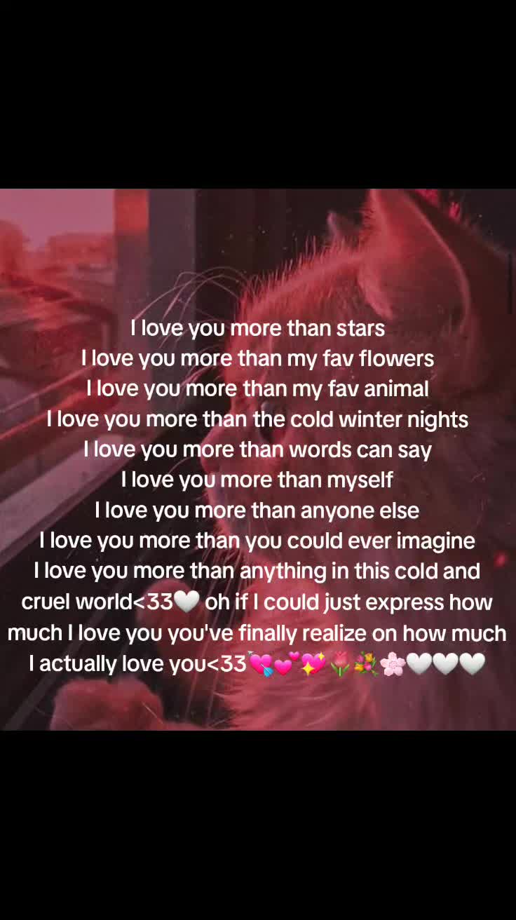 @*   ੈ✩‧₊˚*𝐴𝑥𝑒𝑙*   ੈ✩‧₊˚*