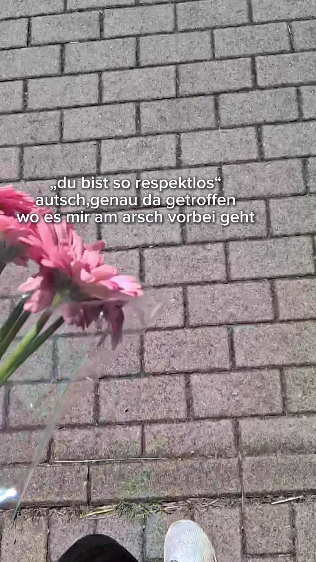 @Paige ๐