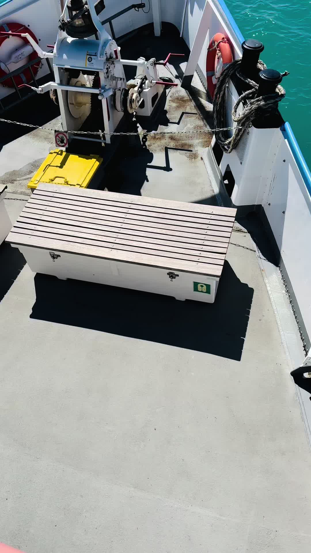 @NICOPHYTE🔊