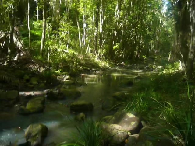 @digicamvids