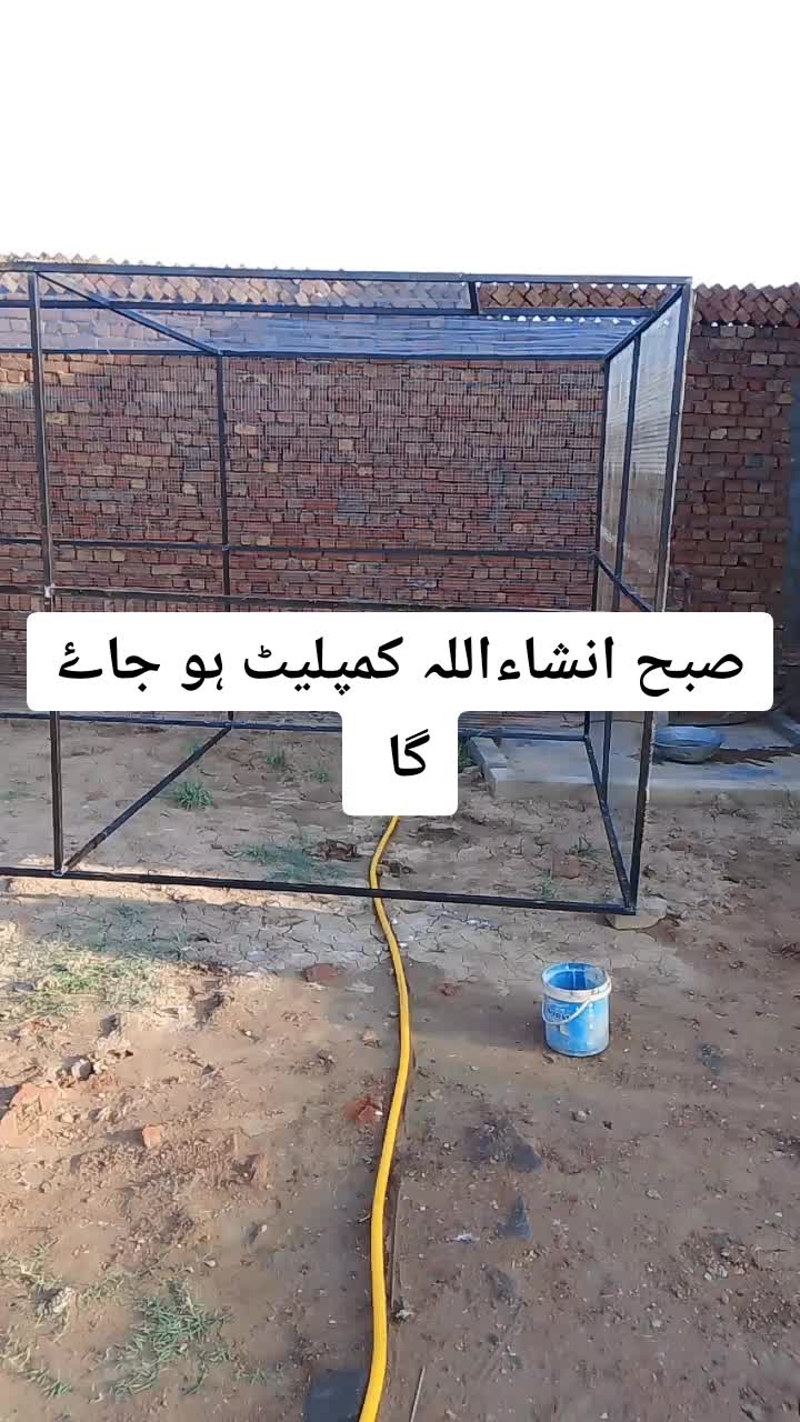 @Pigeons Cages maker 💞