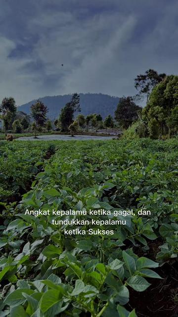 @nanda_setiawan_