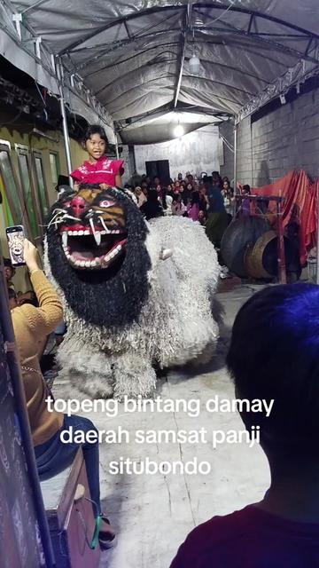 @anis safira
