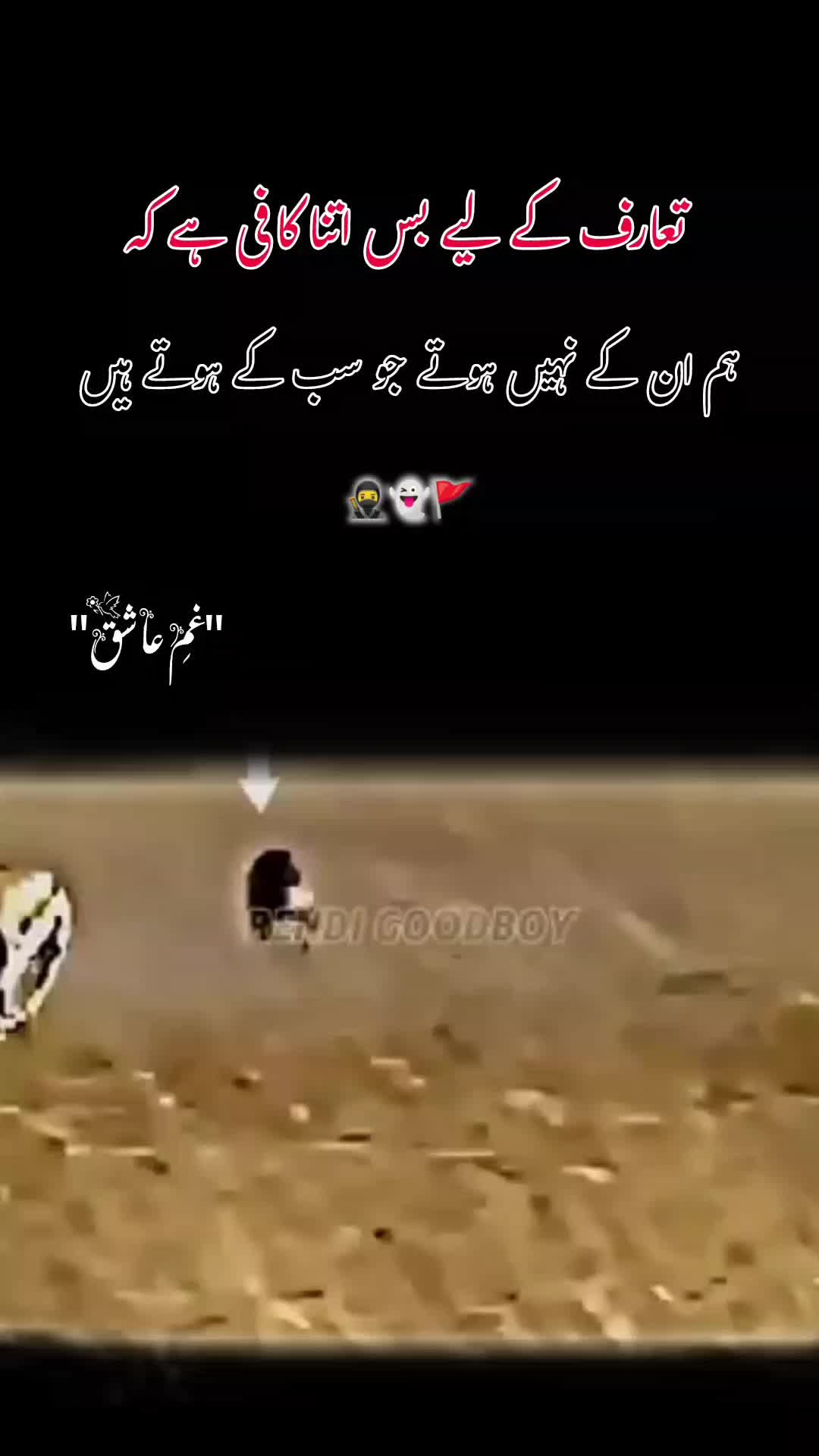 @𝙂𝙝𝙖𝙢 𝙀 𝘼𝙨𝙝𝙞𝙦